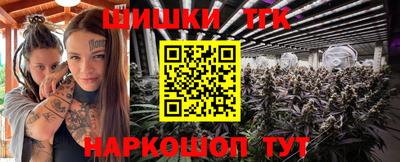 индика Будённовск