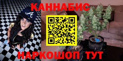 индика Будённовск