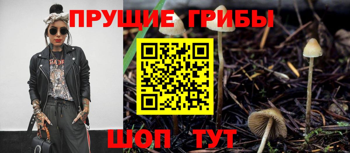 Псилоцибиновые грибы Cubensis Лангепас